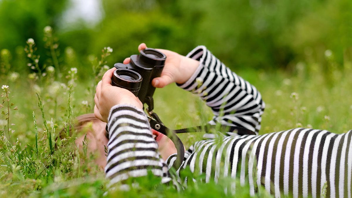 Child Watching Birds Migrate